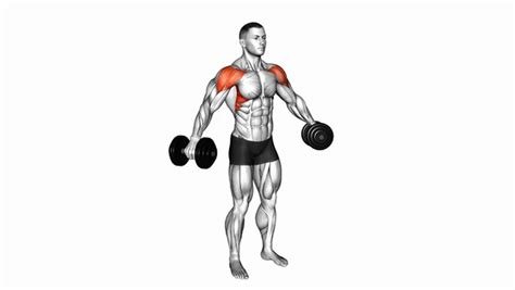 Say Goodbye To Common Mistakes: How To Do Lateral Raise … - balustradellc