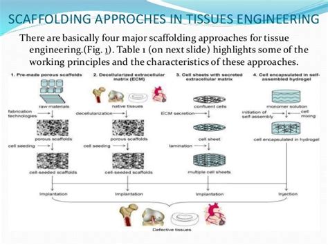 Scaffolding in tissue engineering: general approaches and tissue ... - wintechmobiles.com