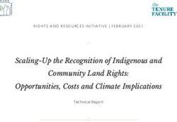 Scaling-Up the Recognition of Indigenous and Community Land Rights ... - balustradellc