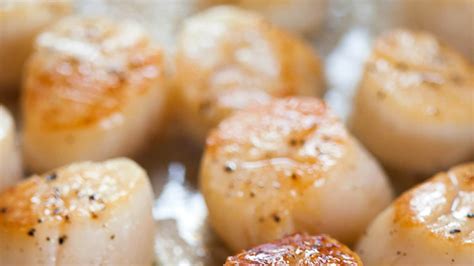 Scallops 101: Essential Tips and Tricks for How to Cook Scallops to ... - balustradellc