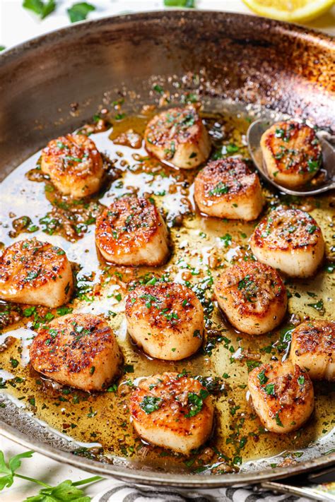 Scallops Recipes Pan Seared - balustradellc