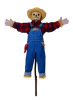 SCARECROW (noun) American English definition and synonyms