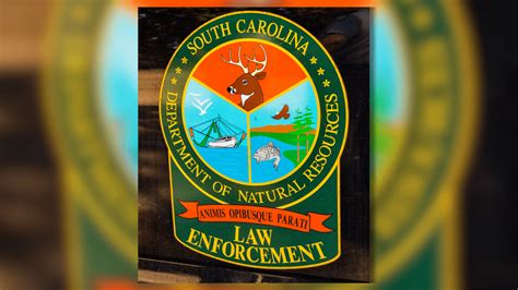 SCDNR - Salt Marsh - South Carolina Department of … - muktibox.com