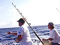 SCDNR- Saltwater Fishing Trends - South Carolina Department of Natural