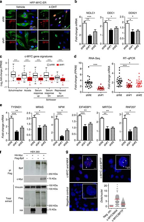 SCHLOSSER_MYC_TARGETS_AND_SERUM_RESPONSE_DN - gsea …