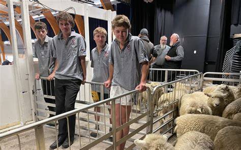 School's shearing and woolhandling contest attracts top talent - raincitystudios.com