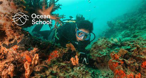 School Programs – Ocean Education & Conservation - raincitystudios.com