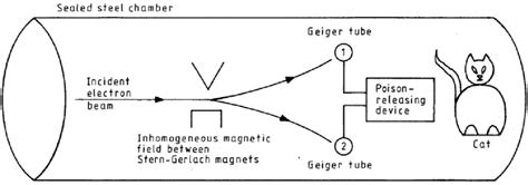 Schrödinger's Cat Thought Experiment Explained - wintechmobiles.com