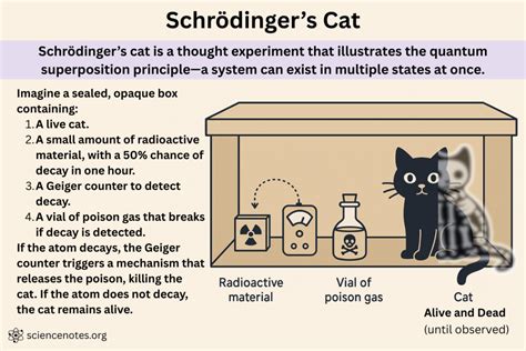 Schrödinger's cat - Simple English Wikipedia, the free encyclopedia - wintechmobiles.com