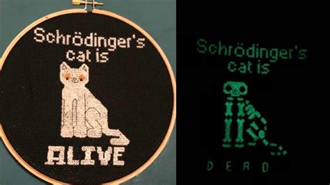 Schrodinger’s Cat and Collective Consciousness - wintechmobiles.com