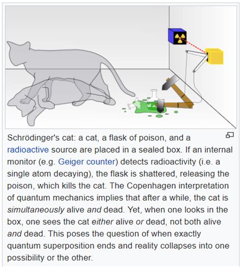 Schrodinger’s Cat Experiment - Quantum Physics Lady - wintechmobiles.com