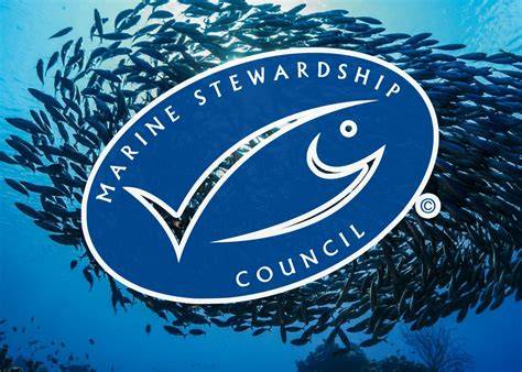 Science and Research Fund | Marine Stewardship Council - raincitystudios.com