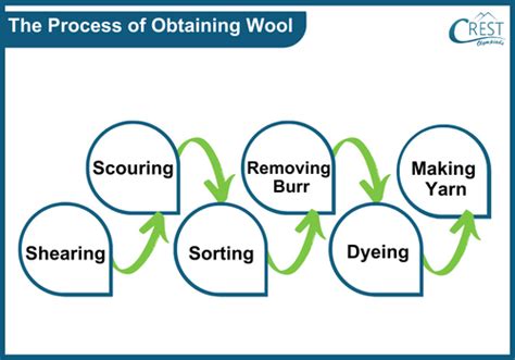 Science of Wool - American Wool - balustradellc