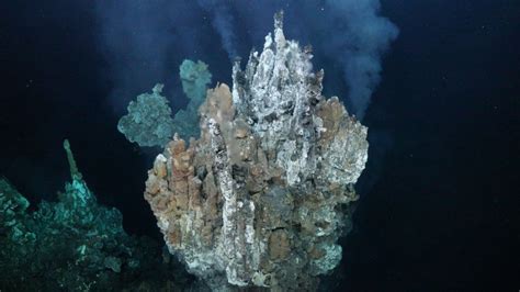 Scientists find new hydrothermal vents and 15 unknown species - raincitystudios.com
