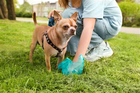 Scientists Found Something Unexpected at the Edge of the - wintechmobiles.com