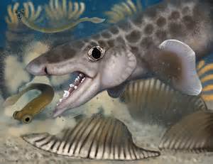 Scientists just discovered this "living fossil" has an - muktibox.com