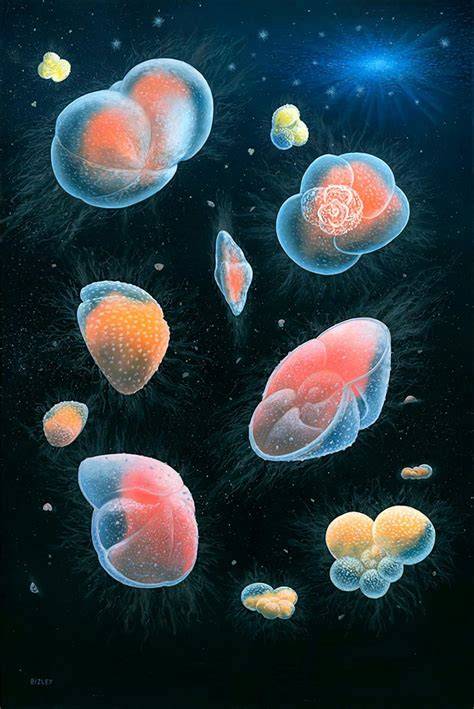 Scientists Solve 200-Year-Old Biodiversity Mystery Through Analysis of ... - raincitystudios.com