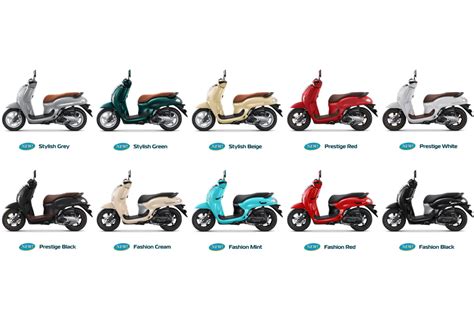 Scoopy Kunci 2026 Terbaru - balustradellc