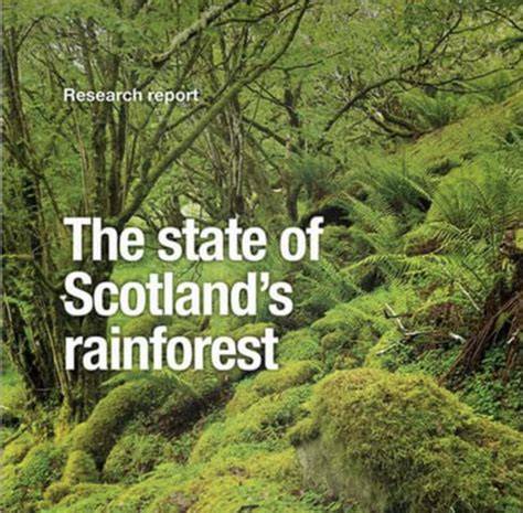 Scotland's Rainforest - Forestry and Land Scotland - raincitystudios.com