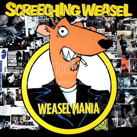 SCREECHING WEASEL - Weasel Mania - CD - **Excellent …