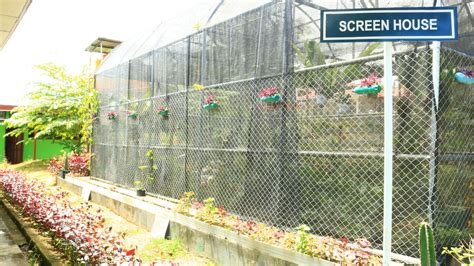 Screen House Adalah - coolestguyplanet.net