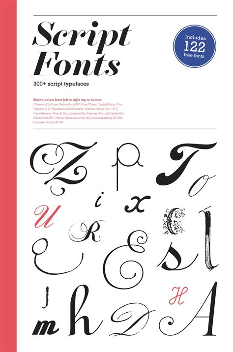 Script typeface - muktibox.com