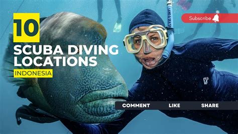 Scuba Diving Indonesia: 4 Greatest Dive Sites - Neptune Liveaboards - balustradellc