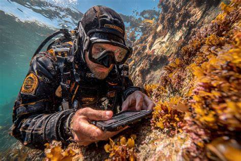 Scuba Diving Techniques / Underwater Navigation - raincitystudios.com