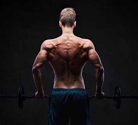 Sculpting a V-Taper: Targeting Your Back Muscles - balustradellc