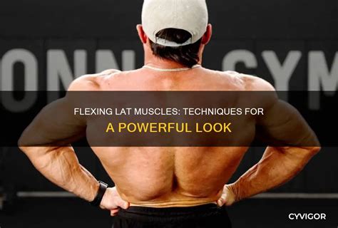 Sculpting Strength: A Guide To Building Powerful Lat Muscles - balustradellc