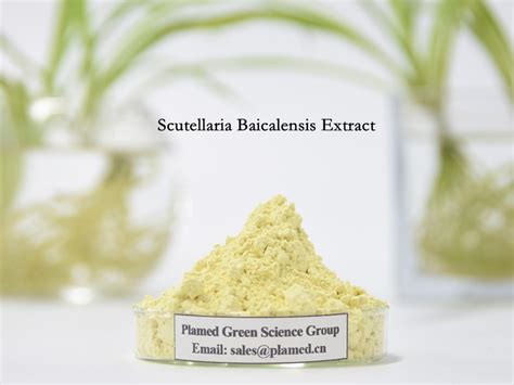 SCUTELLARIA BAICALENSIS ROOT EXTRACT Cosmetics.