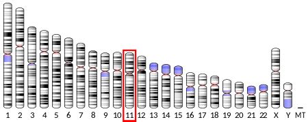 SCYL1 - Wikipedia