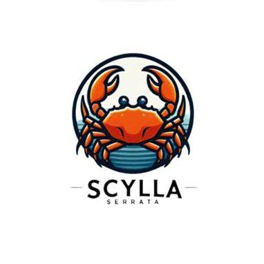 Scylla Serrata Menggunakan Sistem Apartemen - raincitystudios.com