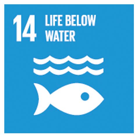 SDG 14 - Conserve & sustain the oceans, seas - raincitystudios.com