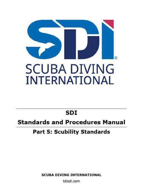 SDI Standards and Procedures Part 3 - raincitystudios.com