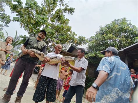 SDM Terbatas Balai Pengelolaan Kelautan Pontianak Gandeng Komunitas ... - raincitystudios.com
