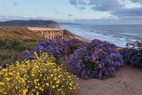 Sea Cliff Coastal Trail Del Mar - balustradellc