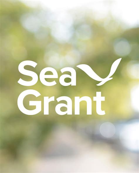 Sea Grant - Sea Grant - raincitystudios.com
