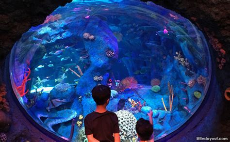 SEA LIFE Malaysia: LEGO-Flavoured Marine Adventures