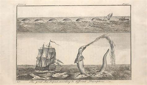 Sea monsters and their inspiration: serpents, … - balustradellc