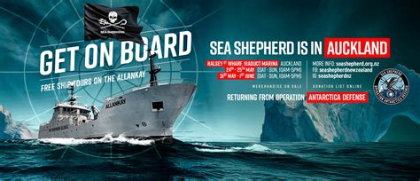 Sea Shepherd New Zealand - raincitystudios.com