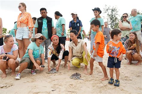 Sea Turtle Conservation Program - Oceanic … - muktibox.com
