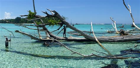 Sea-level rise has claimed five whole islands in the … - balustradellc