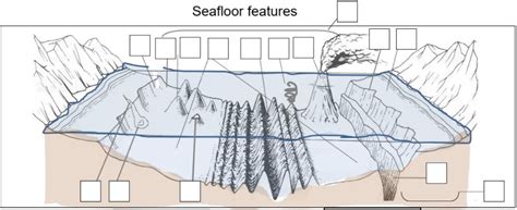 Seafloor Features and Mapping the Seafloor - raincitystudios.com
