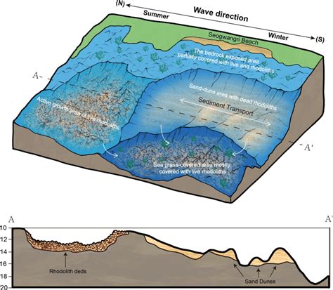 Seafloor Topography and Ocean Circulation - The Oceanography … - raincitystudios.com