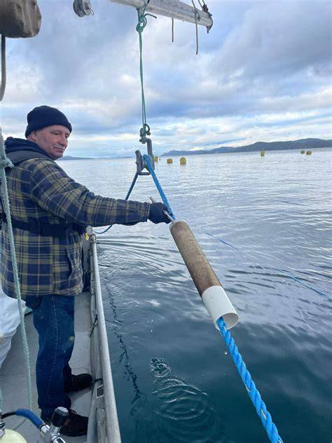Seaforestation: Planting Kelp for Every Seatopia Order - raincitystudios.com