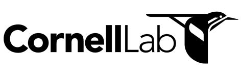 Search, All About Birds, Cornell Lab of Ornithology - balustradellc