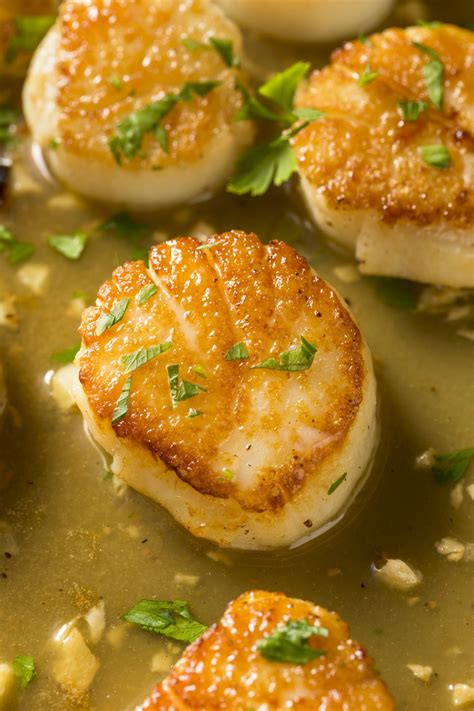 Seared Scallops: How to Pan Sear Sea Scallops Like a Pro - balustradellc