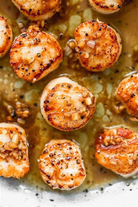 Seared Scallops Recipe - balustradellc