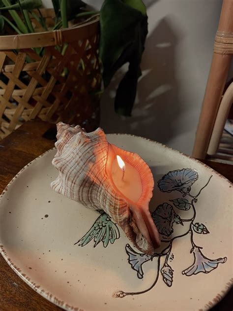 Seashell Ceramic Candle - Etsy - muktibox.com